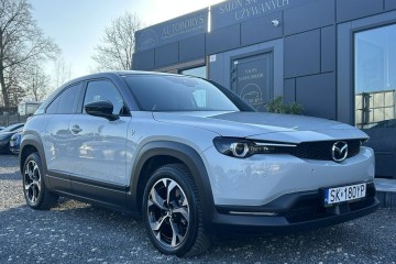 170 KM plugin Hybryda Salon Polska ASO Bezwypadkowy