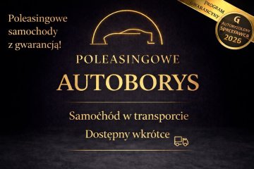 Salon Polska Poleasingowy I właściciel Serwis ASO VAT 23% Bezwypadkowy